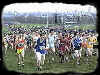 sports results service